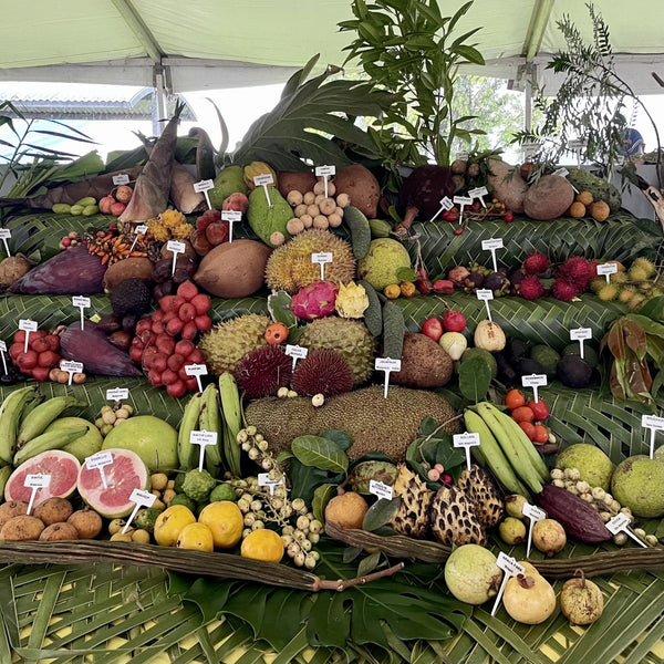 The Far North Queensland Tropical Fruit Enigma