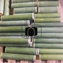 Load image into Gallery viewer, Fresh QLD Bamboo. Buluh. Bumbong - The Thorny Fruit Co