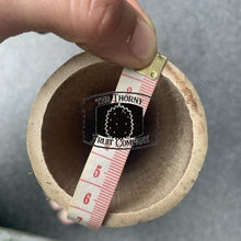 Load image into Gallery viewer, Fresh QLD Bamboo. Buluh. Bumbong - The Thorny Fruit Co