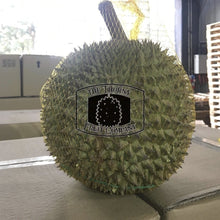 Load image into Gallery viewer, Frozen Whole Black Thorn D200 Durian - The Thorny Fruit Co