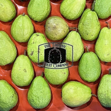 Load image into Gallery viewer, [NOT IN SEASON] Jambu Batu. Jambu Biji. Jambu Klutuk. Common Guava. Psidium guajava - The Thorny Fruit Co