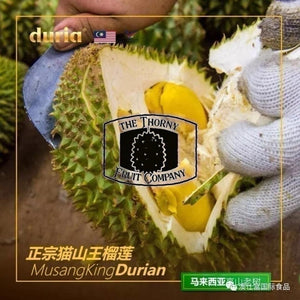 [PRE-ORDER] Duria Australia Frozen Whole Musang King Durian D197 - The Thorny Fruit Co