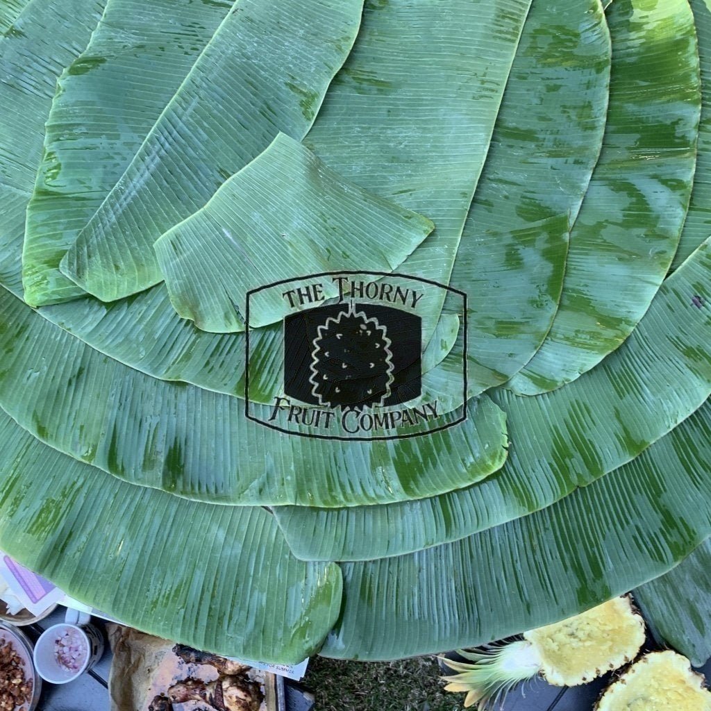 [PREORDER] Fresh Banana Leaves bundled The Thorny Fruit Co