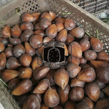Load image into Gallery viewer, Salak Madu Frozen Whole Fruit. Palm Fruit. Snakefruit - The Thorny Fruit Co