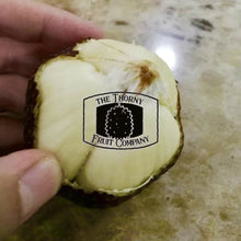 Load image into Gallery viewer, Salak Madu Frozen Whole Fruit. Palm Fruit. Snakefruit - The Thorny Fruit Co