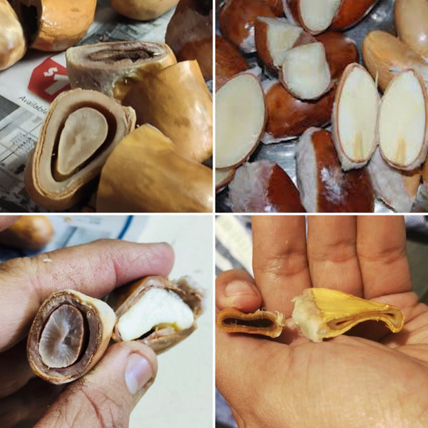 How do you know if your durian is fresh or frozen?