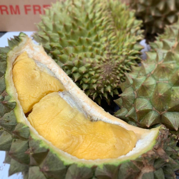 How to Choose a HEW1 durian