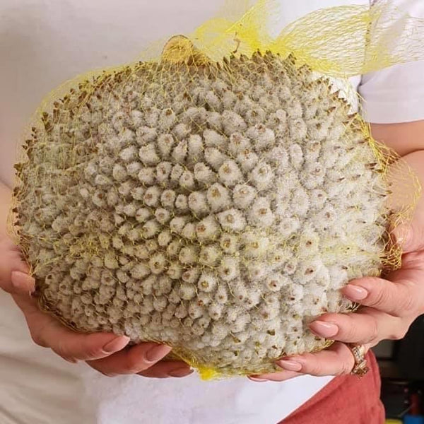How to defrost & eat whole frozen durians