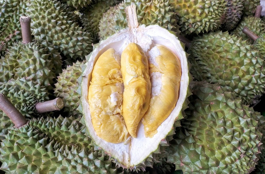 It's Durian Season Again