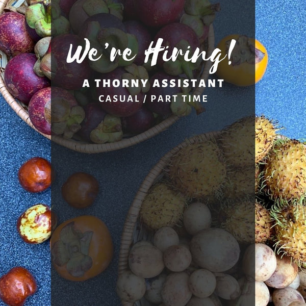 Job Vacancy: A Thorny Team Assistant (Casual/Part Time)