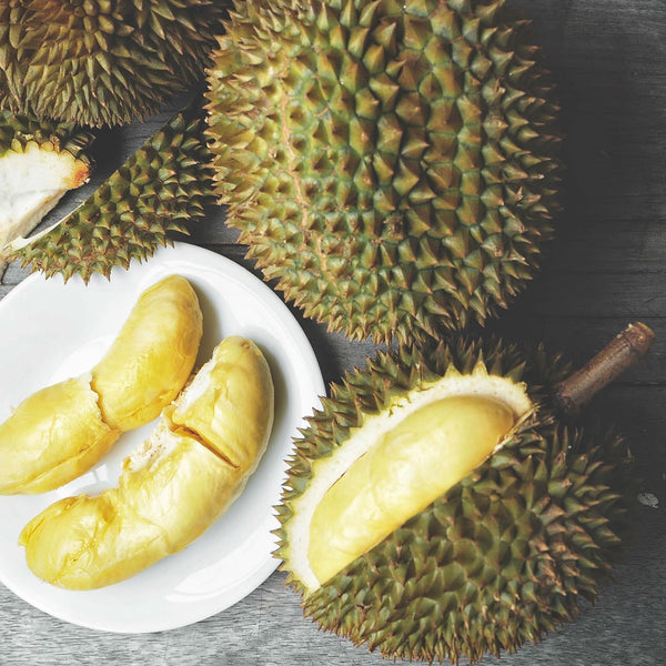 Malaysian vs Thailand Durian
