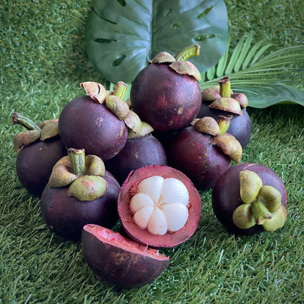 The Price of Australian Mangosteens