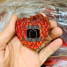 Load image into Gallery viewer, Australian Lychees. Litchi chinensis - The Thorny Fruit Co