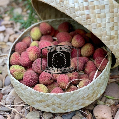 Australian Lychees. Litchi chinensis - The Thorny Fruit Co