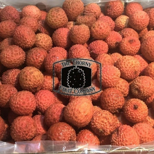 Australian Lychees. Litchi chinensis - The Thorny Fruit Co