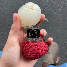 Load image into Gallery viewer, Australian Lychees. Litchi chinensis - The Thorny Fruit Co