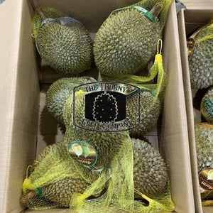 [CLEARANCE] Duria Australia Frozen Whole D24 Durians - The Thorny Fruit Co