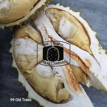 Load image into Gallery viewer, [EXCLUSIVE] Frozen Whole Tekka / Musang Queen D160 Durian - The Thorny Fruit Co