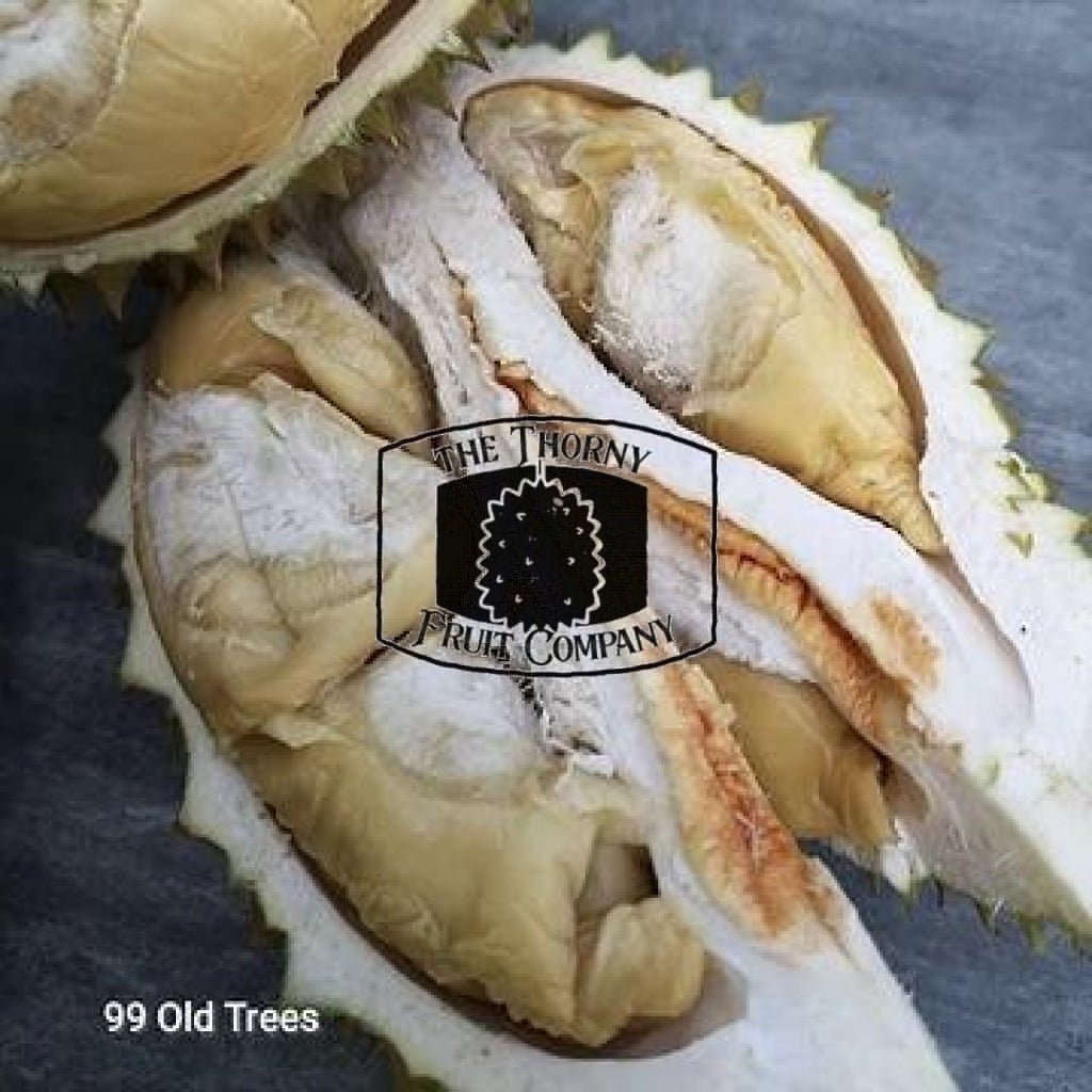[EXCLUSIVE] Frozen Whole Tekka / Musang Queen D160 Durian - The Thorny Fruit Co