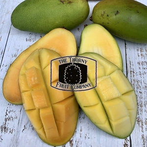 [EXPRESSION OF INTEREST] QLD Philippine ‘Piko’ Mangoes - The Thorny Fruit Co