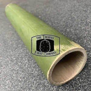 Fresh QLD Bamboo. Buluh. Bumbong - The Thorny Fruit Co