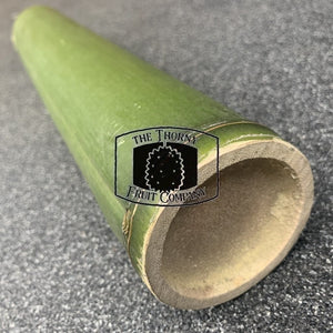 Fresh QLD Bamboo. Buluh. Bumbong - The Thorny Fruit Co