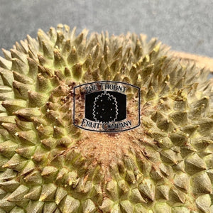 Frozen Whole Black Thorn D200 Durian - The Thorny Fruit Co