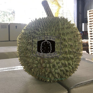 Frozen Whole Black Thorn D200 Durian - The Thorny Fruit Co