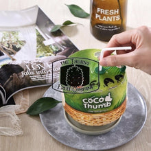 Load image into Gallery viewer, [IMPORTED] Coco Thumb Fresh Young Coconut - The Thorny Fruit Co