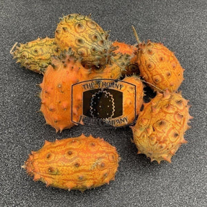 Kiwano. African horned melon. Jelly melon. Cucumis metuliferus - The Thorny Fruit Co