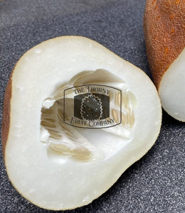 [LIMITED] Aged Cucumber. Old Giant Russian Cucumber. Cucumis Sativus - The Thorny Fruit Co