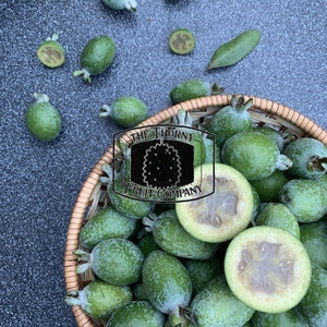 [LIMITED] Fresh Feijoas. Feijoa sellowian - The Thorny Fruit Co