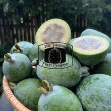 Load image into Gallery viewer, [LIMITED] Fresh Feijoas. Feijoa sellowian - The Thorny Fruit Co