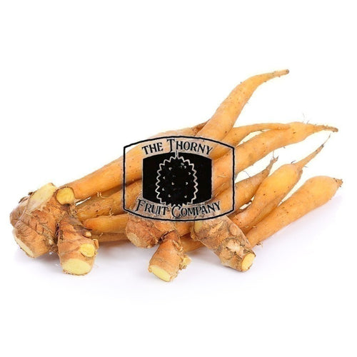 [LIMITED] Fresh Fingerroot. Krachai. Temu Kunci. Boesenbergia rotunda - The Thorny Fruit Co