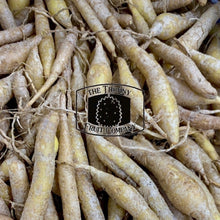 Load image into Gallery viewer, [LIMITED] Fresh Fingerroot. Krachai. Temu Kunci. Boesenbergia rotunda - The Thorny Fruit Co