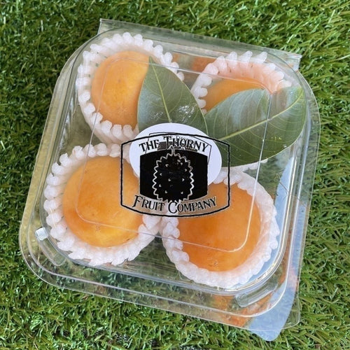 [LIMITED] Fresh Maprang. Mayong Chit. Gandaria. Buah Kundang. Mango Plum. Bouea macrophylla - The Thorny Fruit Co