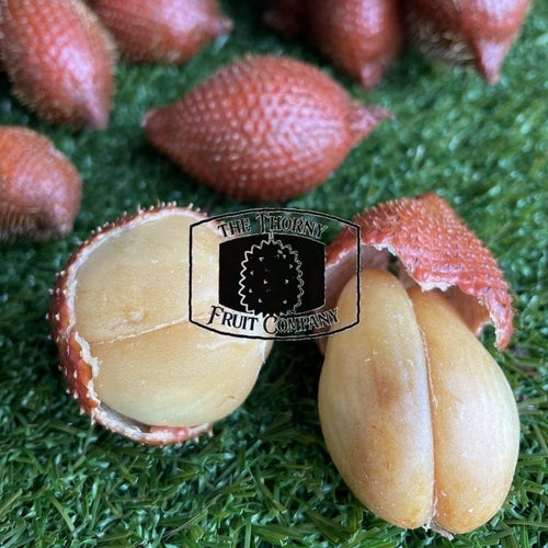 [LIMITED] Fresh Thai Salak Palm Fruit. Snakefruit. Salacca Wallichiana hybrid - The Thorny Fruit Co