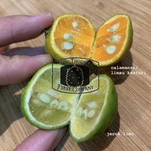 Load image into Gallery viewer, [LIMITED] Jeruk Limo. Indonesian Lime. Citrus Amblycarpa hybrid - The Thorny Fruit Co