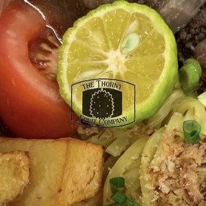 [LIMITED] Jeruk Limo. Indonesian Lime. Citrus Amblycarpa hybrid - The Thorny Fruit Co