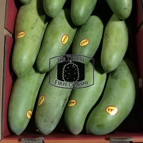 [LIMITED] Mangga Golek. Cedar Bay Mango. MA 162 - The Thorny Fruit Co