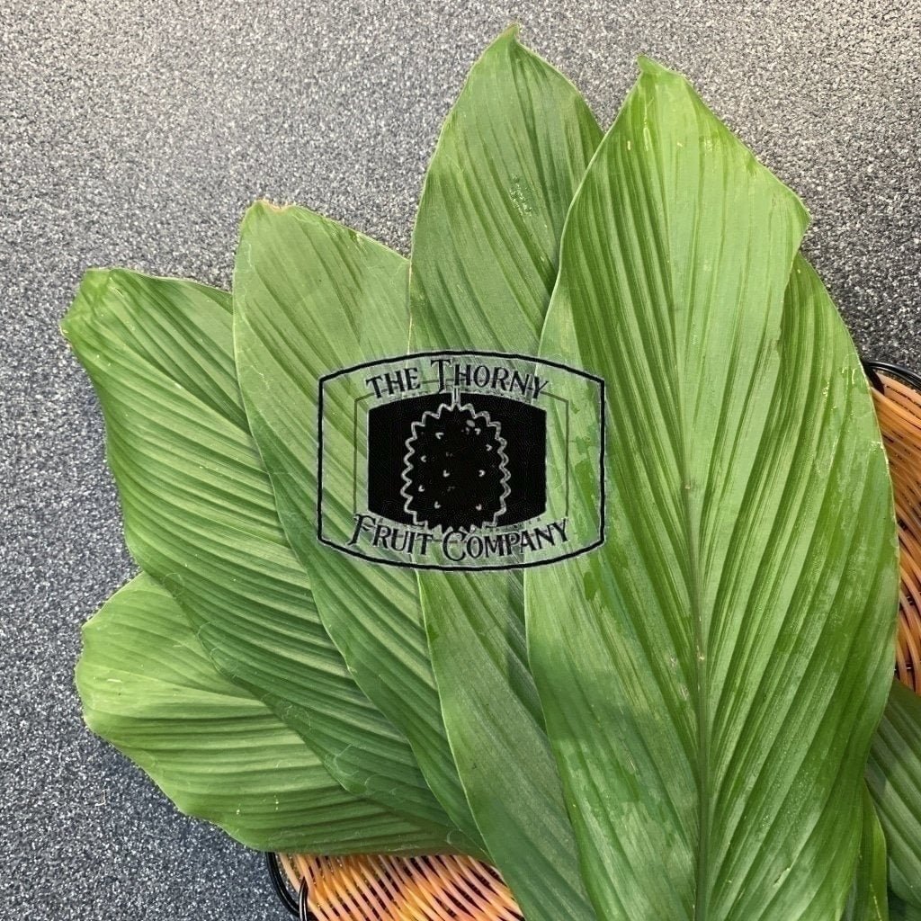 [LIMITED] Organic Turmeric Leaves. Daun Kunyit - The Thorny Fruit Co