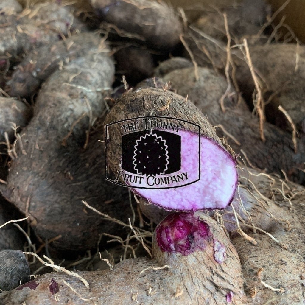 [LIMITED] Purple Yam. Dioscorea alata. Filipino Ube. Greater Yam - The Thorny Fruit Co