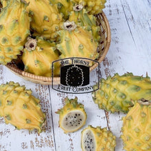Load image into Gallery viewer, [LIMITED] Yellow Dragon Fruit. Pitaya. Buah Naga Mas. Hylocereus megalanthus - The Thorny Fruit Co