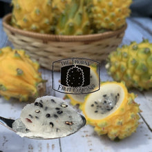 Load image into Gallery viewer, [LIMITED] Yellow Dragon Fruit. Pitaya. Buah Naga Mas. Hylocereus megalanthus - The Thorny Fruit Co