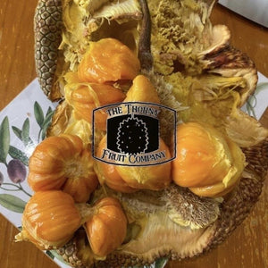 Malaysian Frozen Whole Honey Red Cempedak. Artocarpus Integer - The Thorny Fruit Co