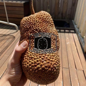 Malaysian Frozen Whole Honey Red Cempedak. Artocarpus Integer - The Thorny Fruit Co