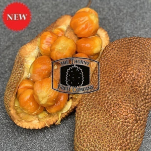 Malaysian Frozen Whole Honey Red Cempedak. Artocarpus Integer - The Thorny Fruit Co