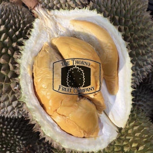 [NOT AVAILABLE] Frozen Whole Red Prawn / Udang Merah / Ang Hae Durians - The Thorny Fruit Co