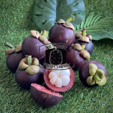 Load image into Gallery viewer, [NOT IN SEASON] Fresh QLD Purple Mangosteens. Garcinia mangostana - The Thorny Fruit Co