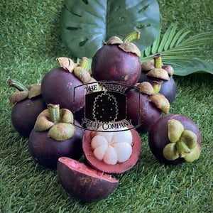 [NOT IN SEASON] Fresh QLD Purple Mangosteens. Garcinia mangostana - The Thorny Fruit Co